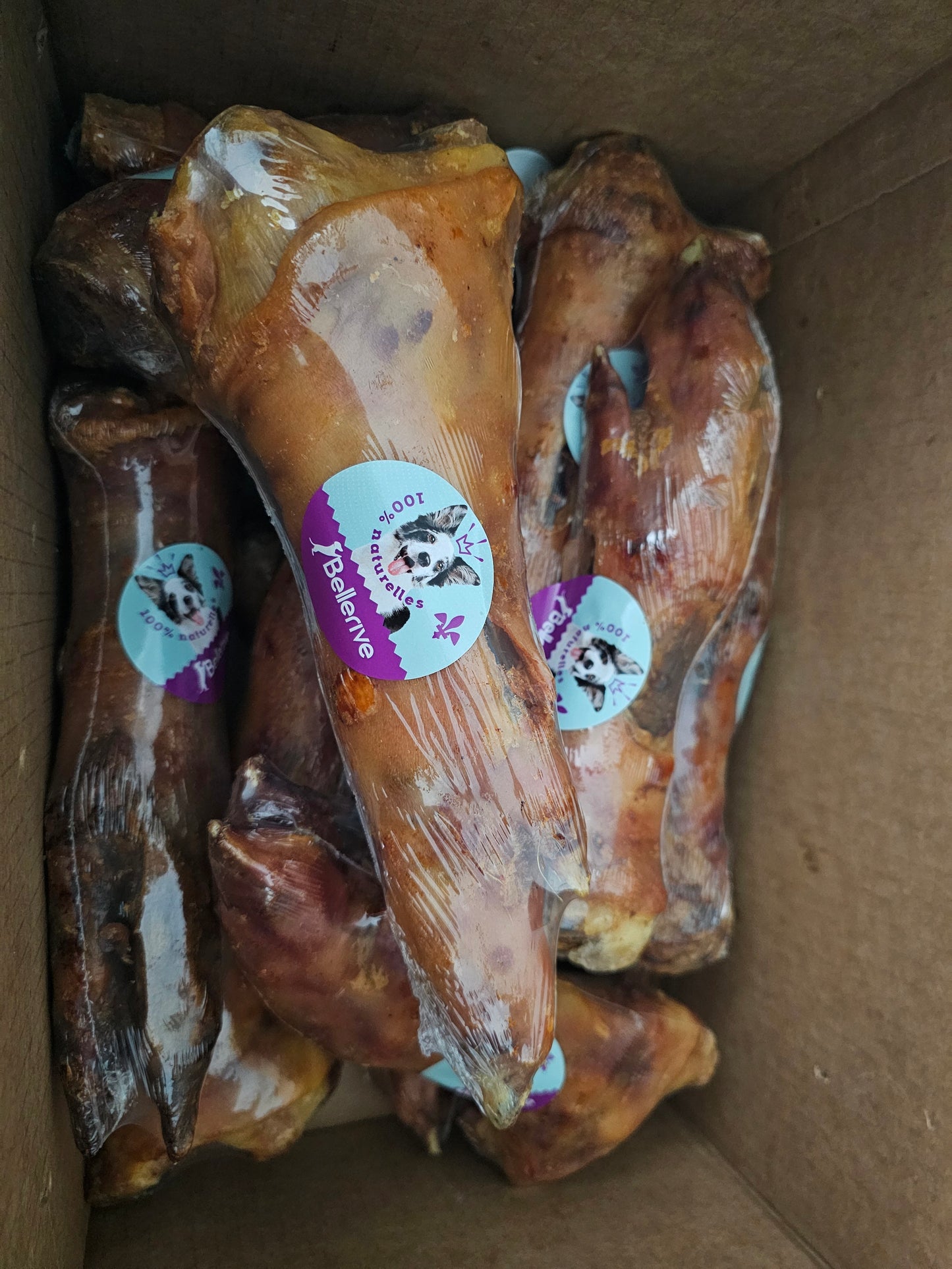 Patte de porc 5 ou 10"