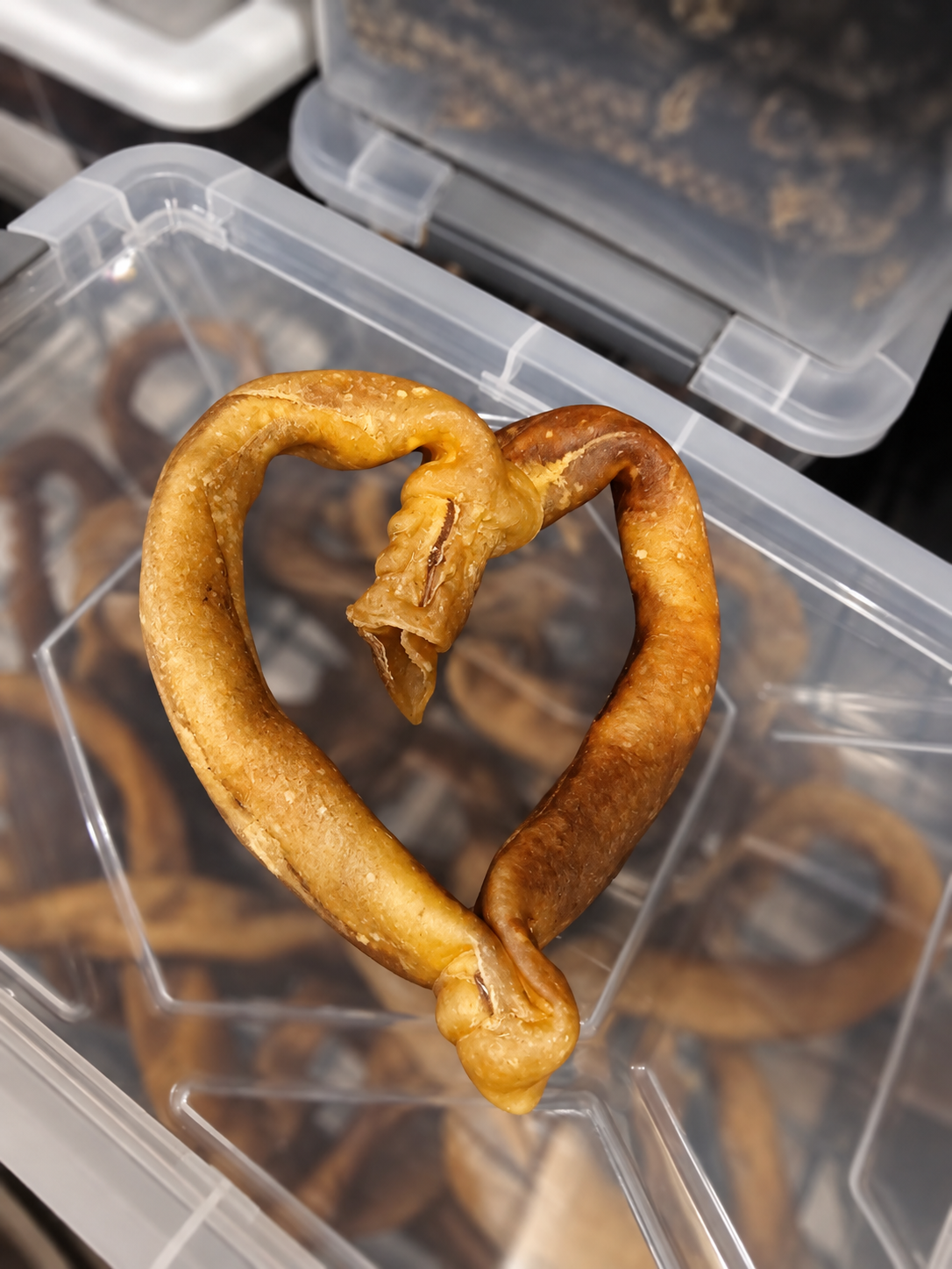 Collagène boeuf coeur
