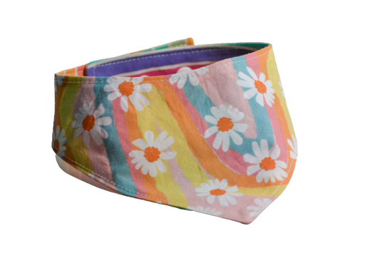 Daisy arc-en-ciel - S, M, XL