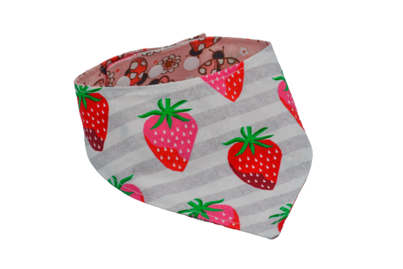 Ladybug & fraises - S à XL