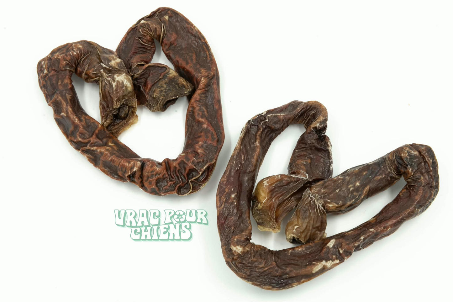 Oesophage boeuf coeur
