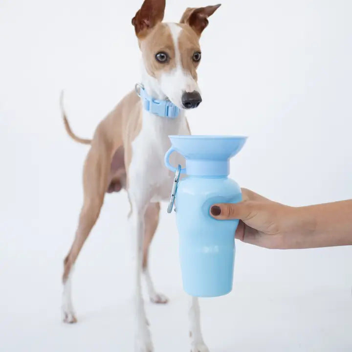 Bouteille avec bol intégré Springer