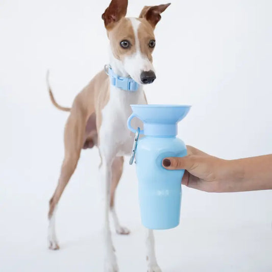 Bouteille avec bol intégré Springer