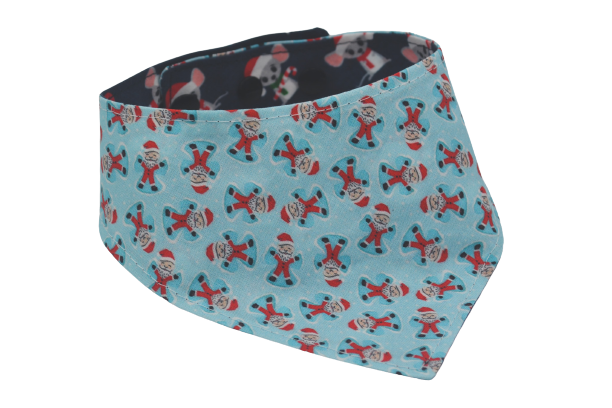 Petite souris - M