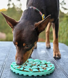 Hound + Pup tapis de recherche à lècher