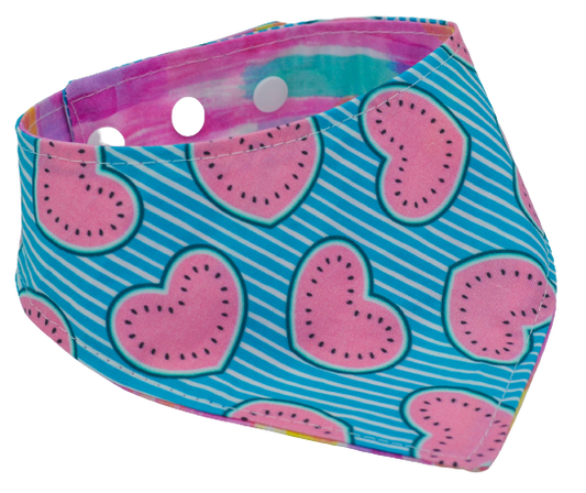 Melon coeur - M