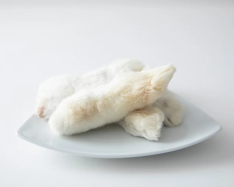 Patte de lapin