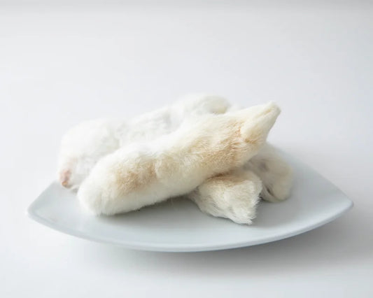 Patte de lapin