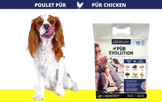 Poulet Pur - tout stade de vie