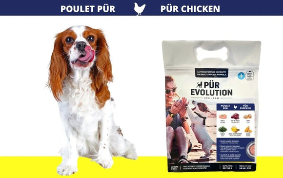 Poulet Pur - tout stade de vie