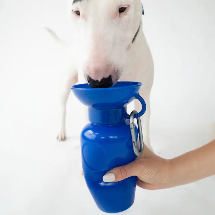 Bouteille avec bol intégré Springer
