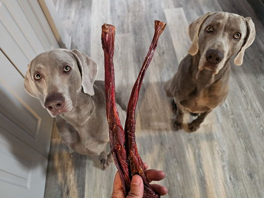 Bâton de vessie de boeuf fumé
