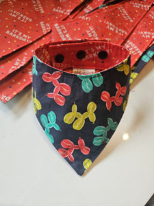 Birthday - BARKDAY rouge - XS à XL