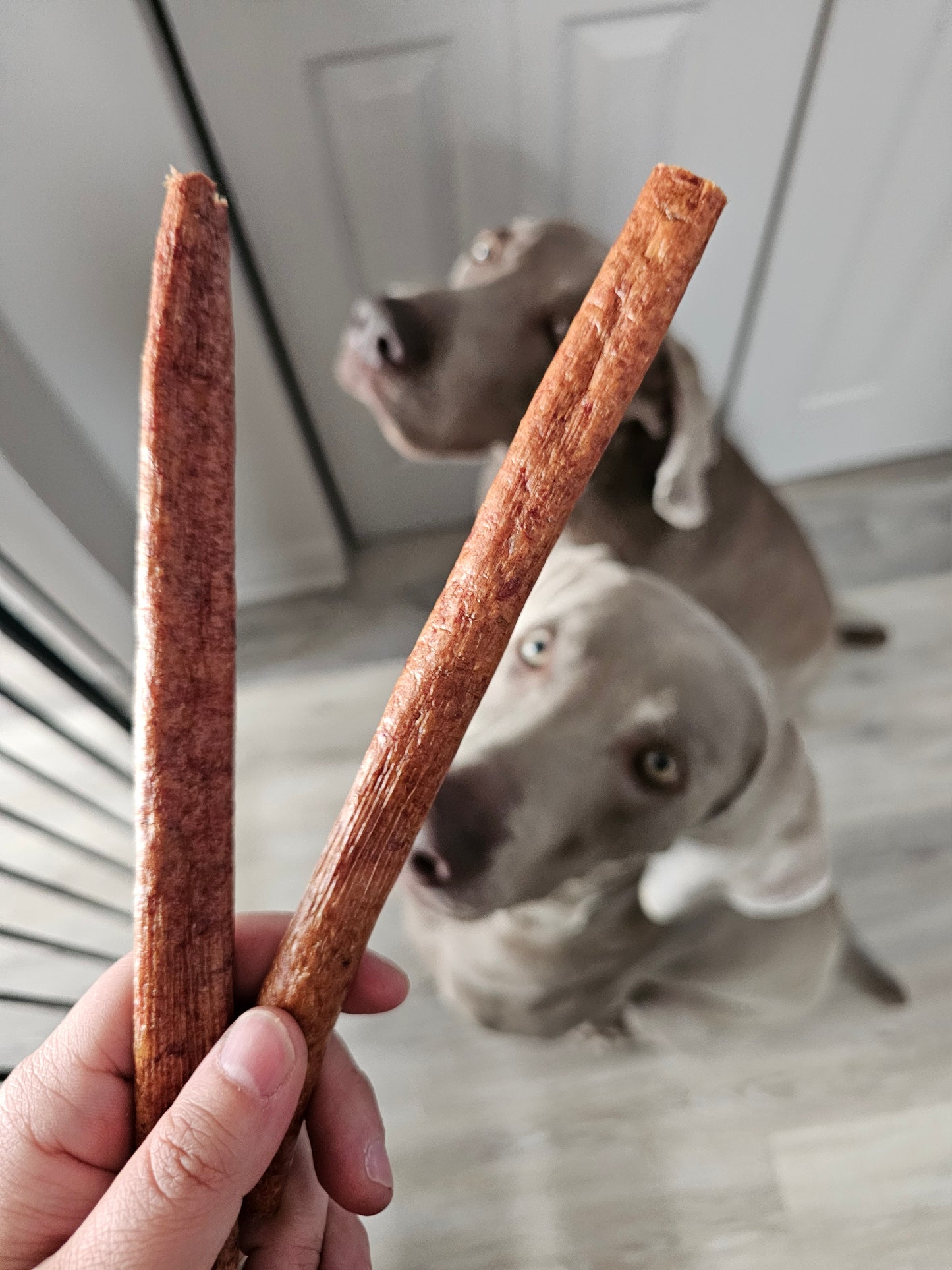 Bâtonnet de pepperoni boeuf 8"