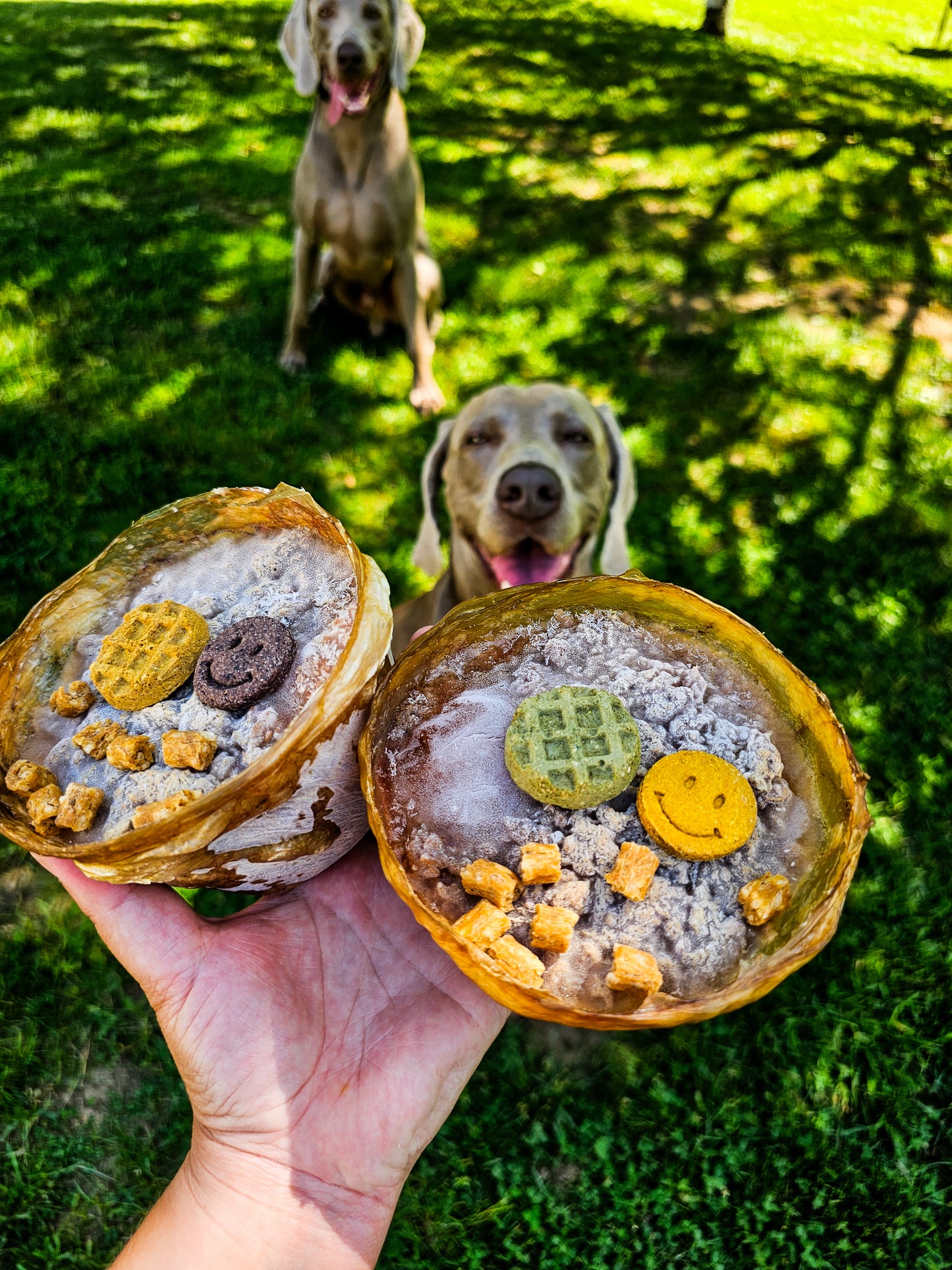 Panier vessie de boeuf