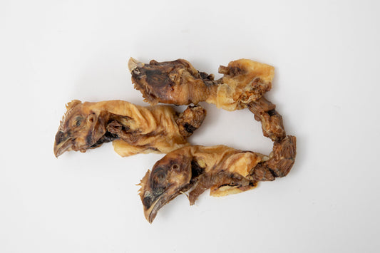 Tête de poulet avec cou (3)