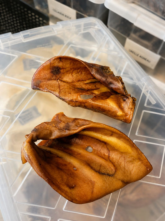 Oreille de porc - 2 formats