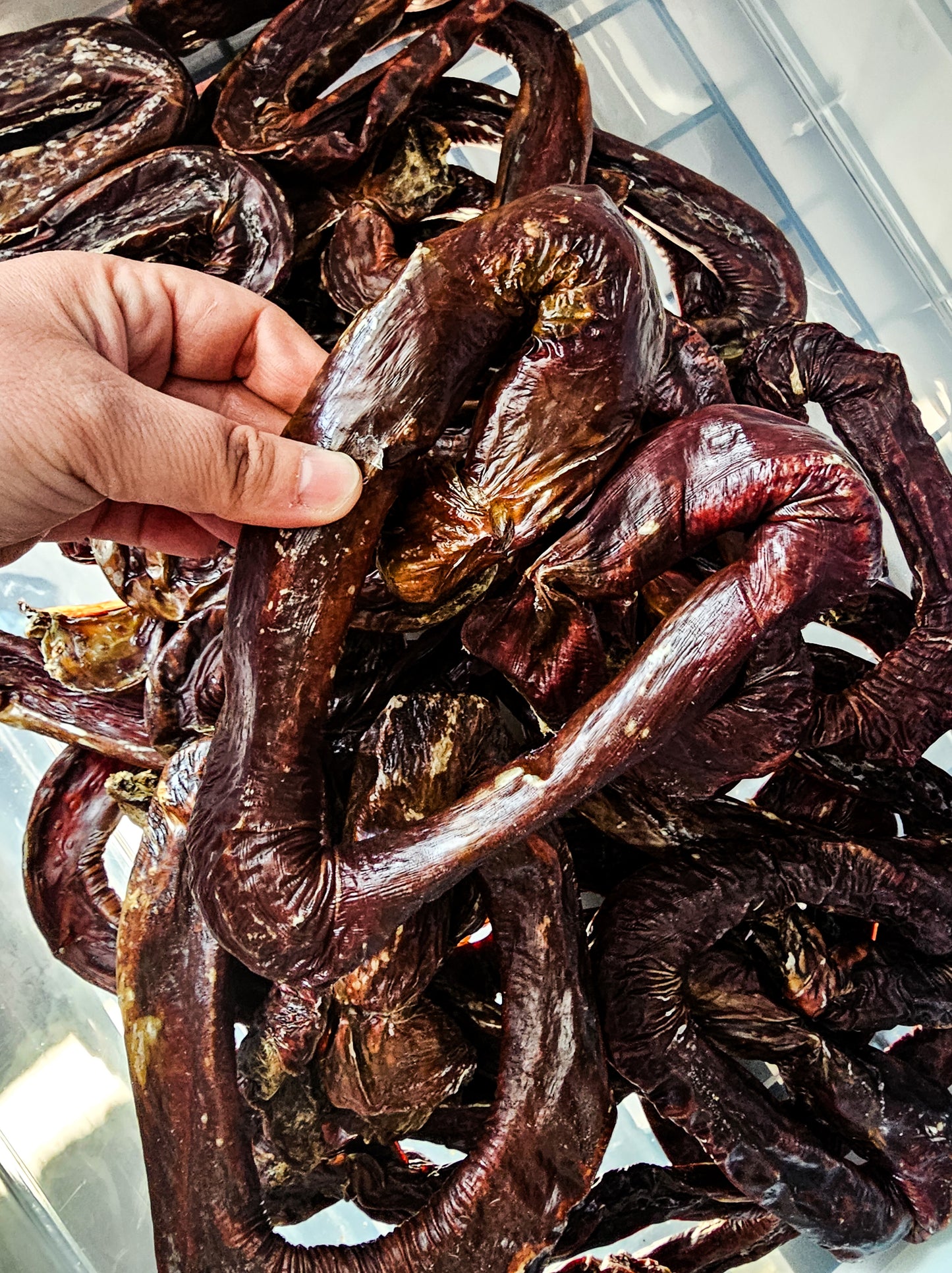 Oesophage boeuf coeur