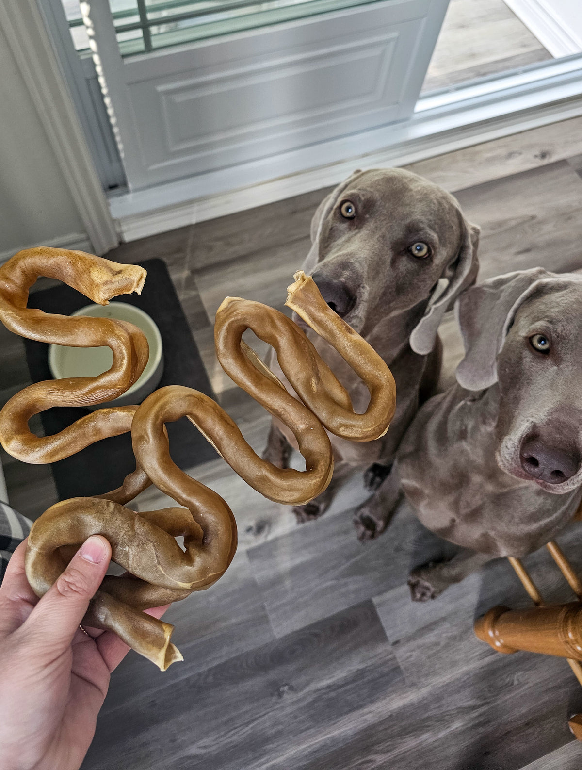 Collagène boeuf serpentin