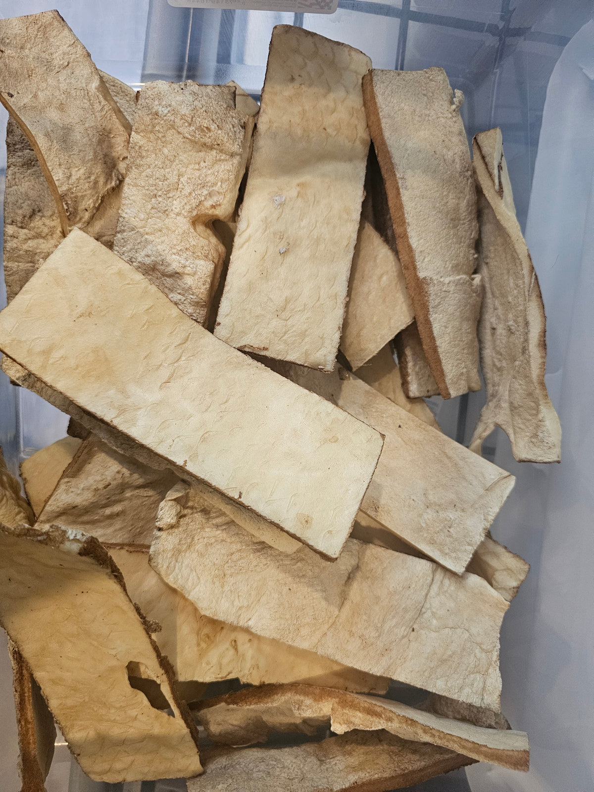 Croustilles de joue de boeuf naturelle 6 ou 10"