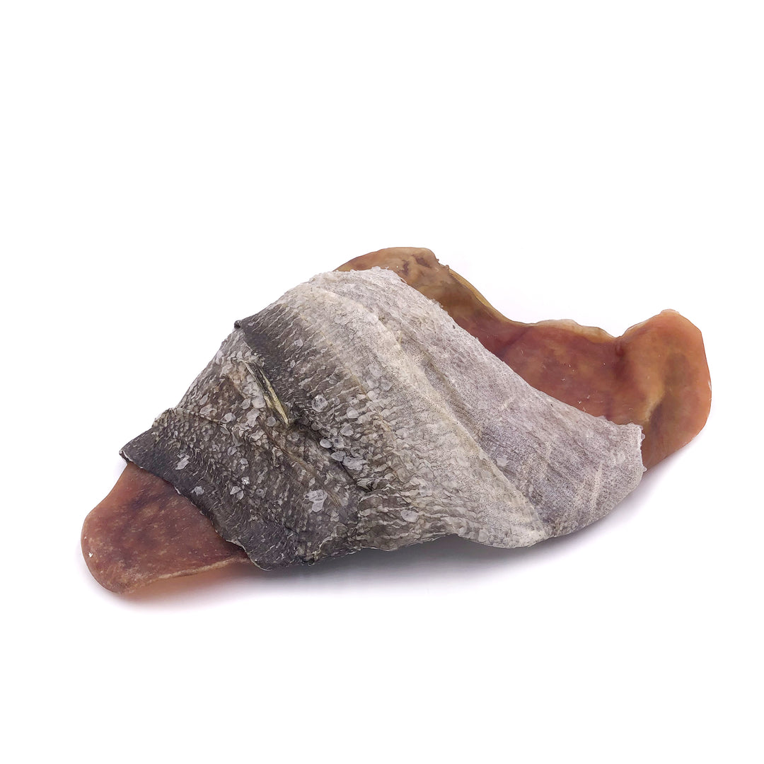 Oreille de porc enrobée morue