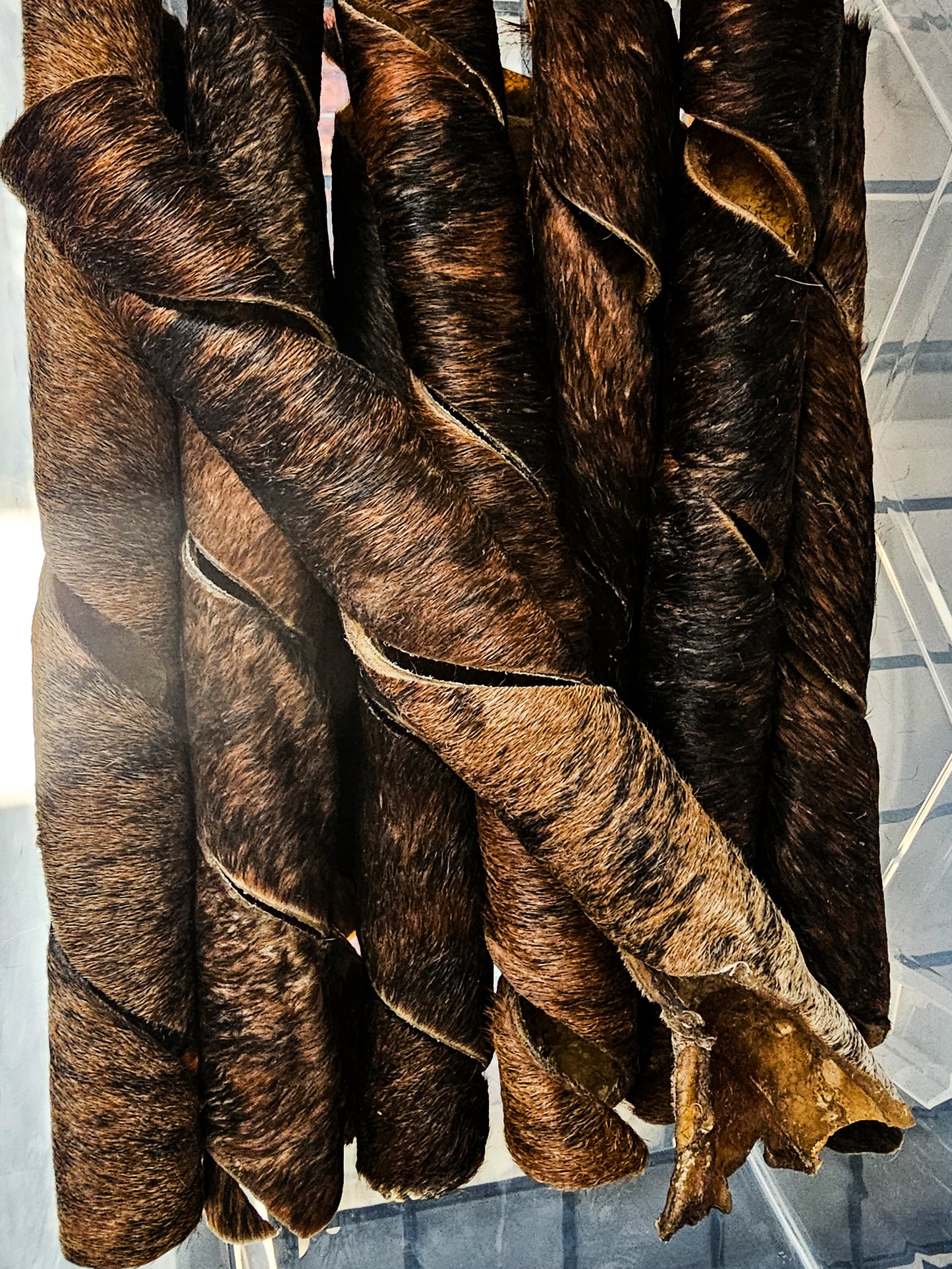 Spirale de boeuf poilue 6 ou 12"