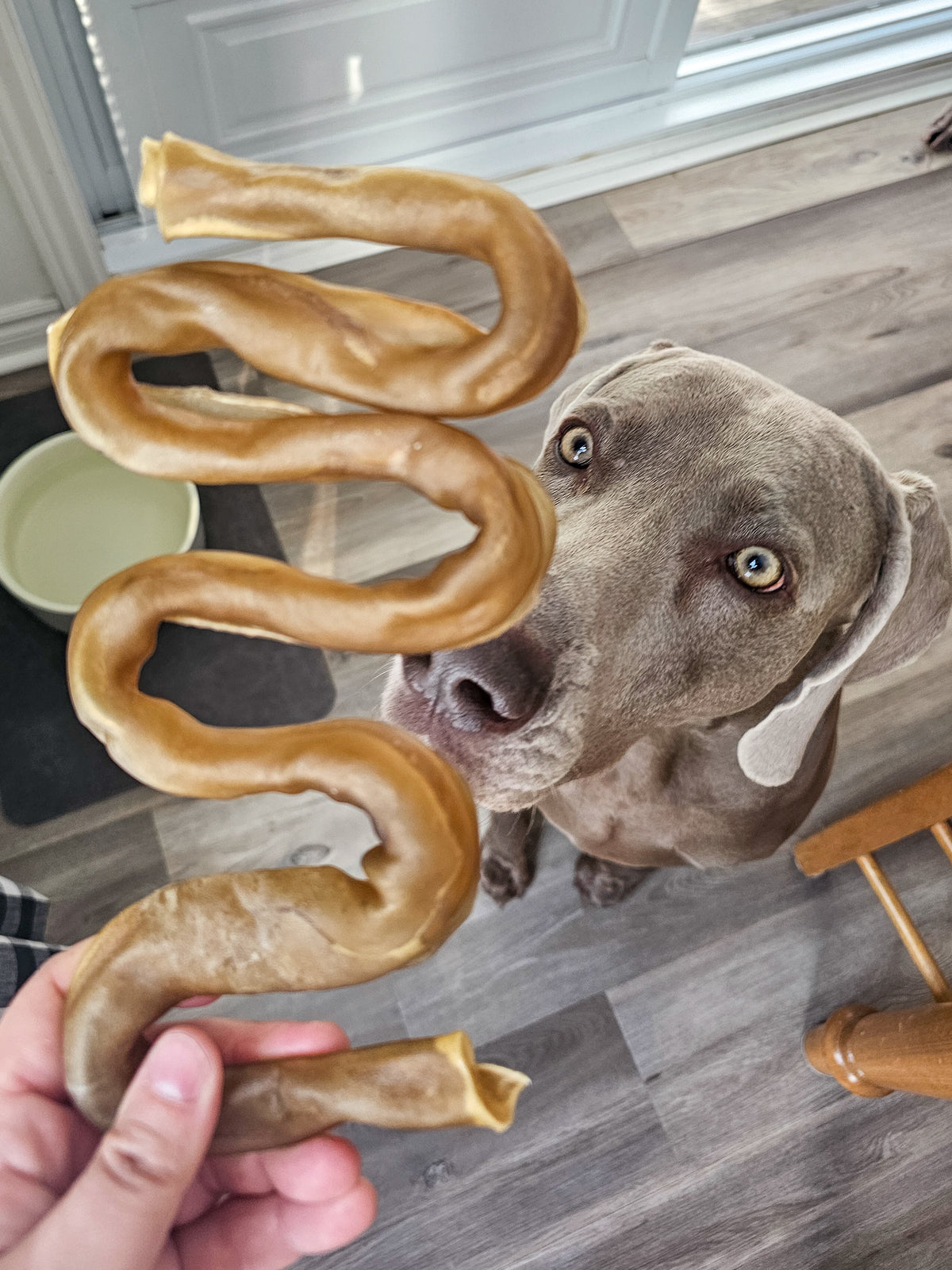 Collagène boeuf serpentin