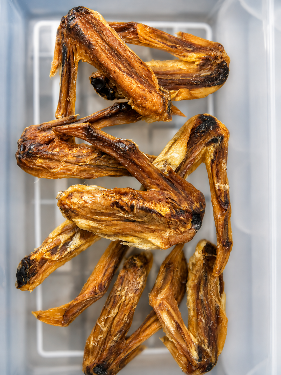 Aile de canard