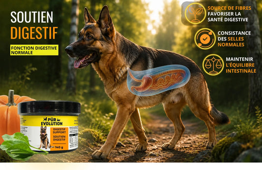 Soutien digestif 140g