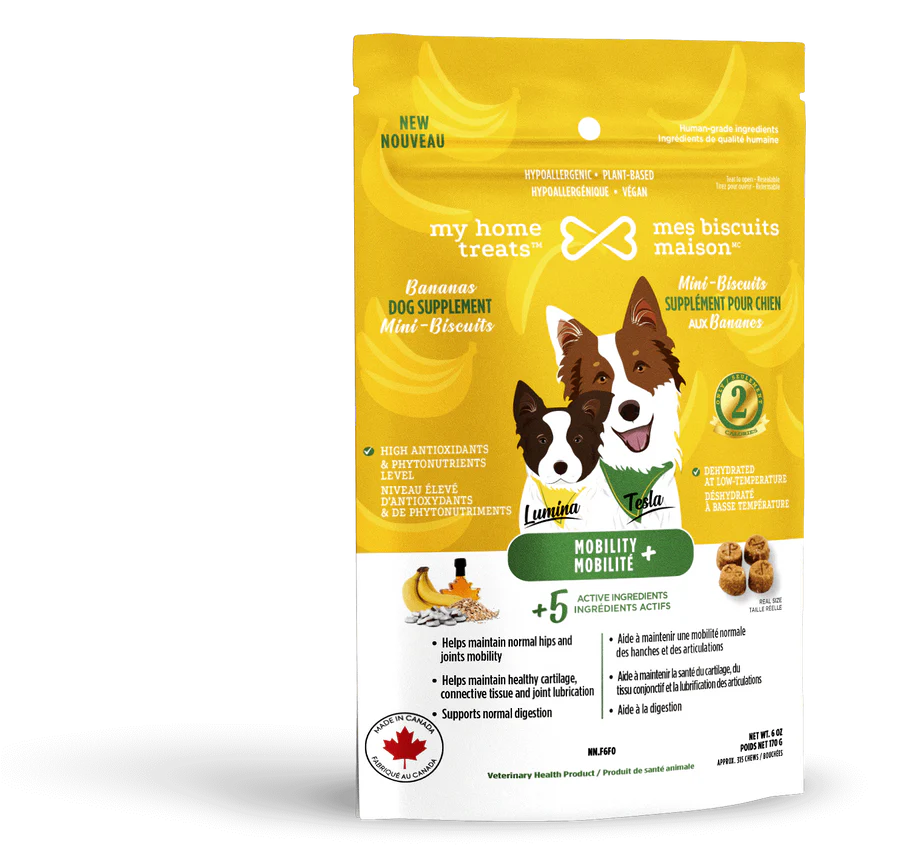 MBM Gâterie supplément hypoallergénique pour chien aux bananes - Mobilité+ 170g