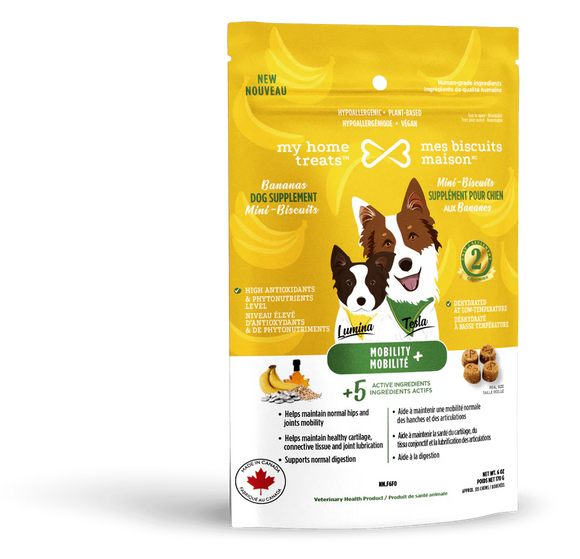 MBM Gâterie supplément hypoallergénique pour chien aux bananes - Mobilité+ 170g