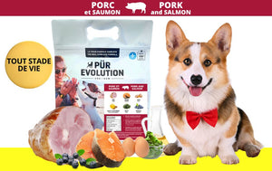 Porc Saumon - chien adulte - plusieurs formats