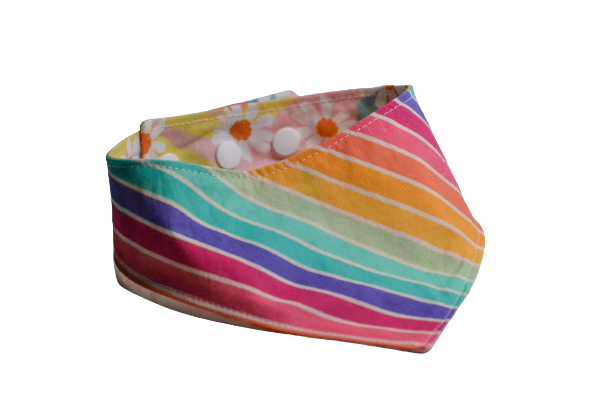 Daisy arc-en-ciel - S, M, XL
