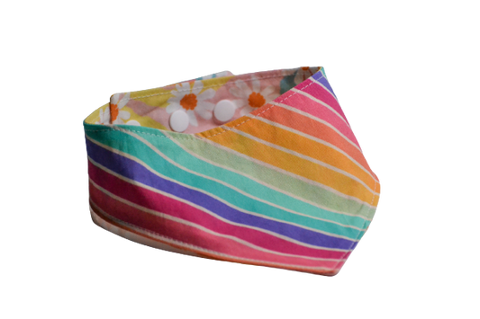Daisy arc-en-ciel - S, M, XL