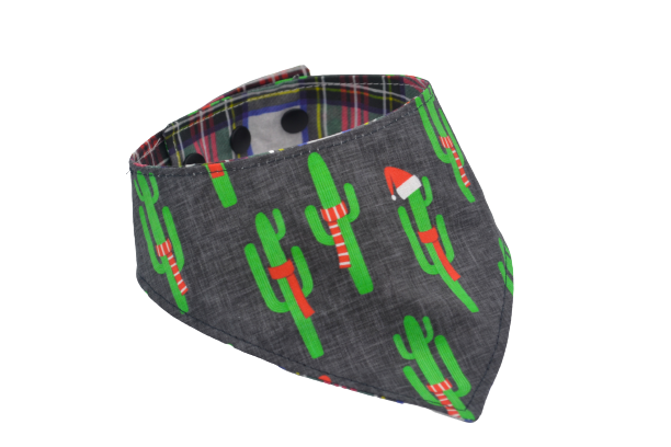 Cactus de Noel - S, M