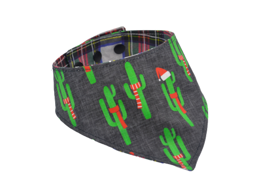 Cactus de Noel - S, M