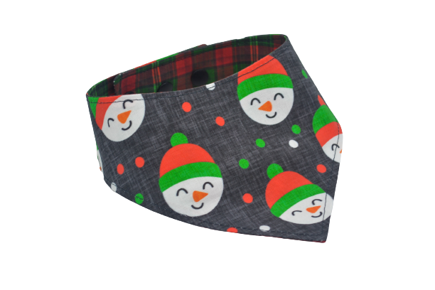 Bonhommes de neige rouges & verts - L