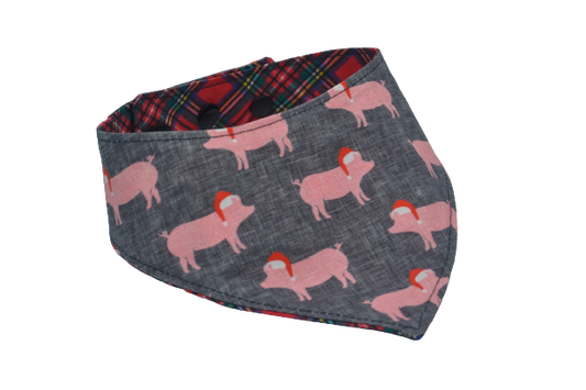 Cochonnets - S
