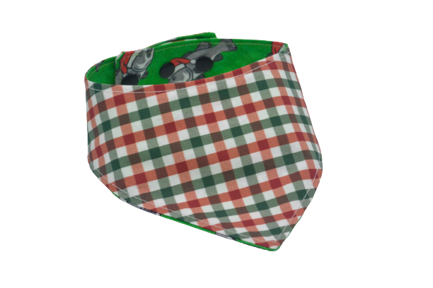 Poissons des fêtes - XS, S