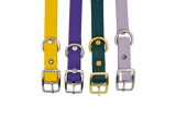 Colliers 3/4'' - PRÊT À PARTIR