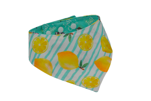 Just chilling & citrons - XS à XL