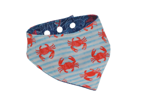 Crabes & pieuvres - S à XL