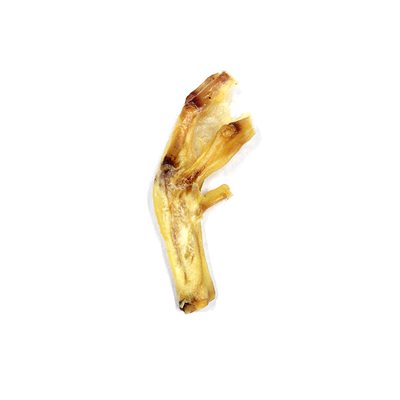 Patte de canard