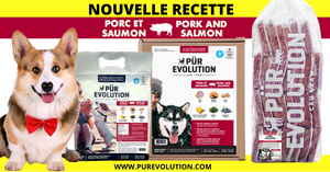 Porc Saumon - chien adulte - plusieurs formats