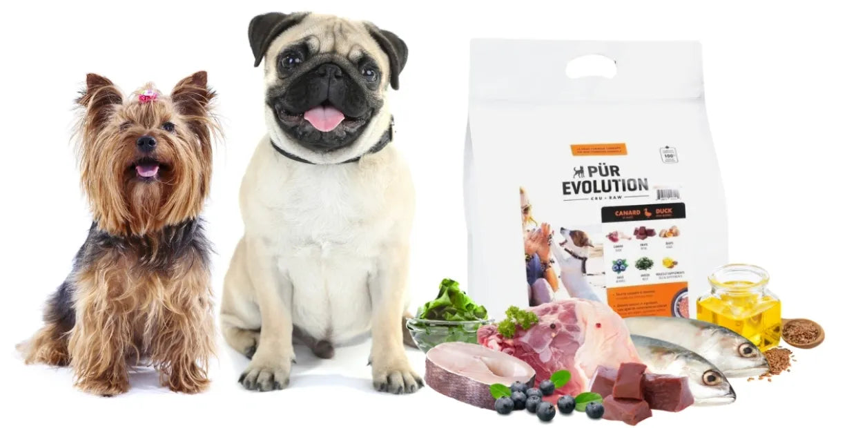 Canard & baies - Chien Adulte - plusieurs formats