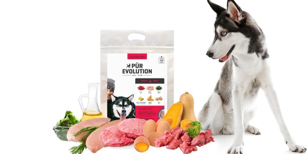 Boeuf & poulet - Chien Adulte - plusieurs formats