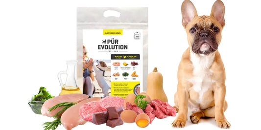 Poulet Courge - Chien Adulte - plusieurs formats