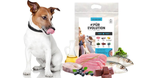 Dinde & poisson - Chien Adulte - plusieurs formats