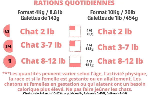 Poulet - Félin/Chaton - plusieurs formats