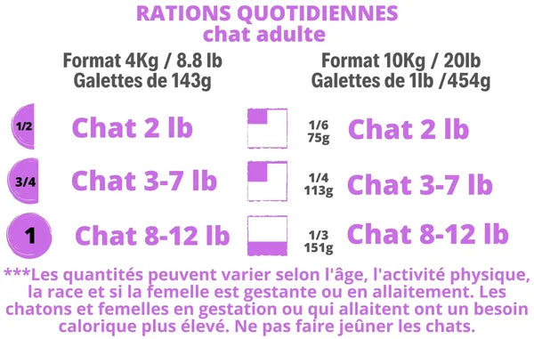 Canard - Félin/Chaton - plusieurs formats